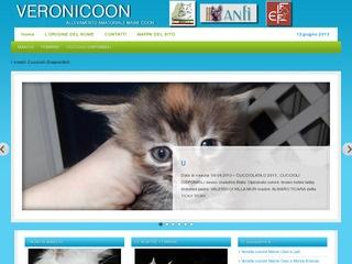 Vendita Cuccioli Maine Coon A Milano